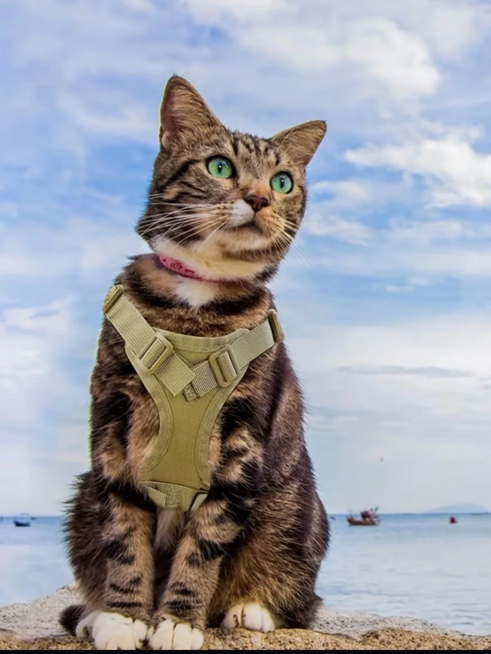Tactical Camouflage Military Cat or Dog Pet Harness